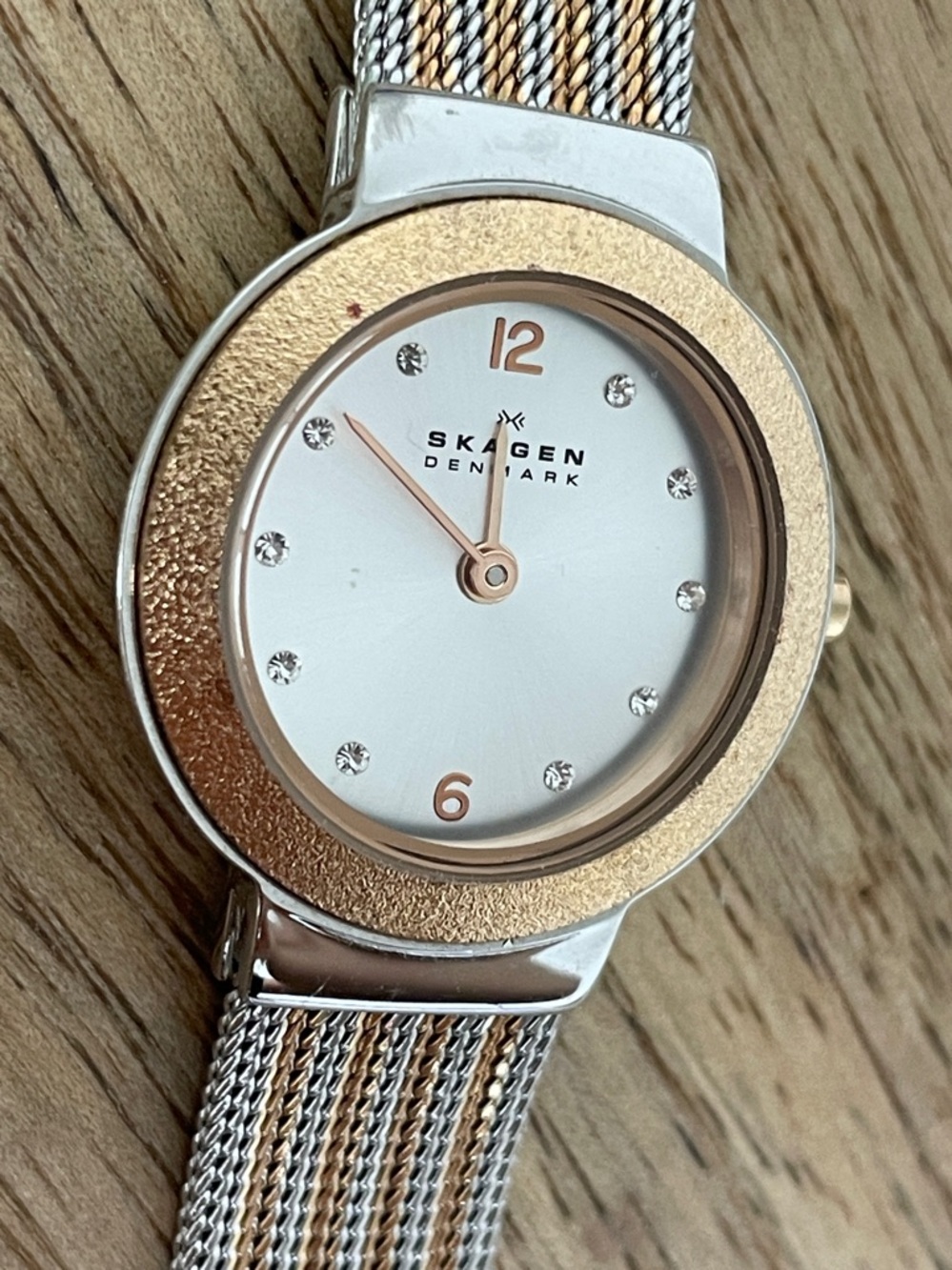 SKAGEN  skw2159